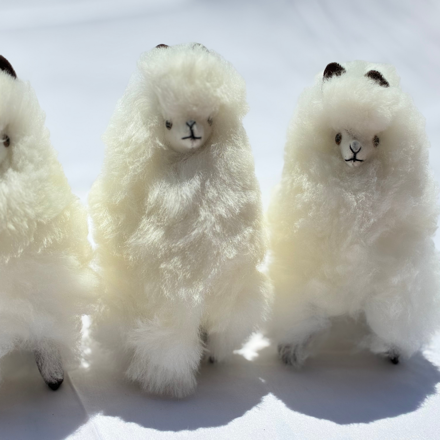 Alpaca Fiber Alpaca (Medium)