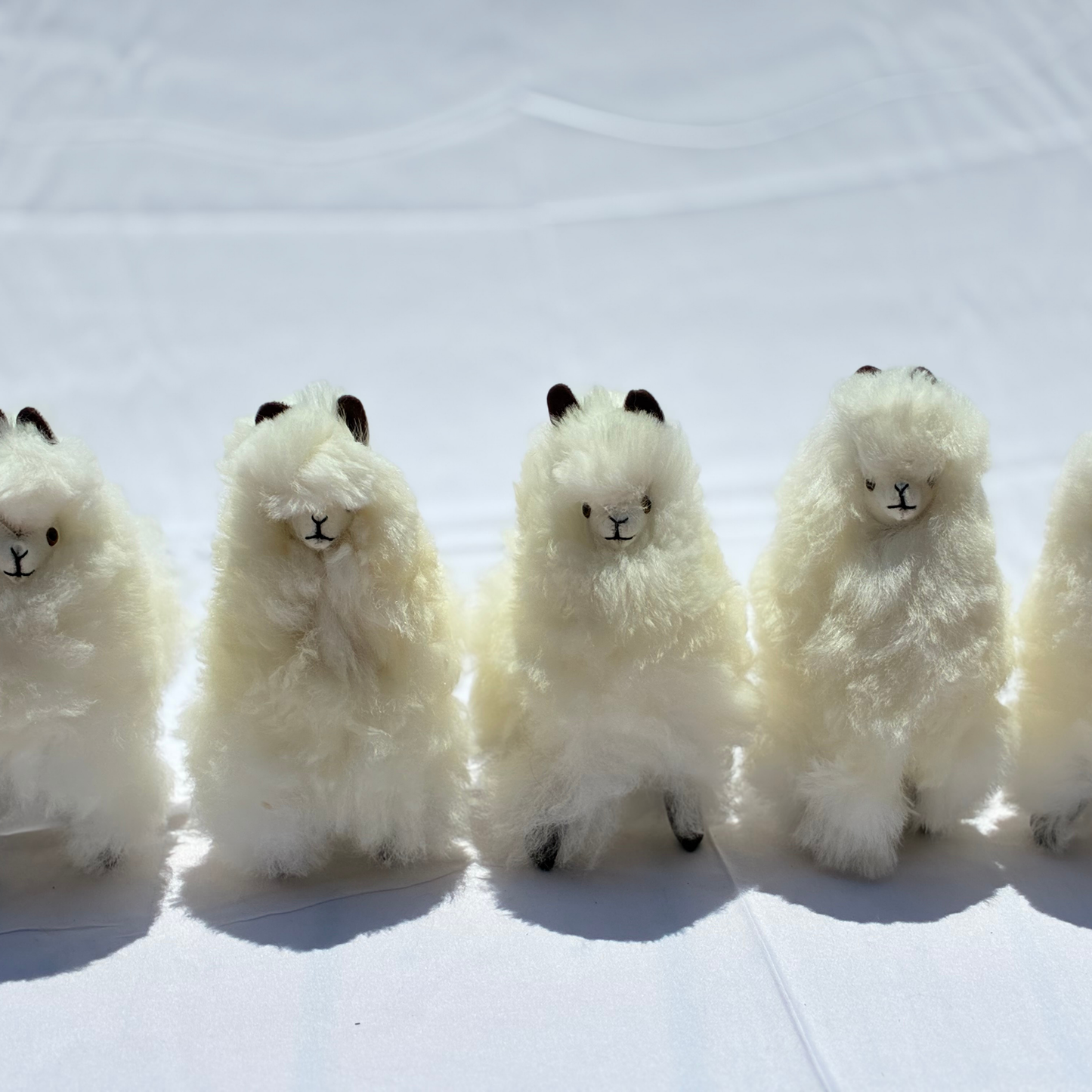Alpaca Fiber Alpaca (Medium)