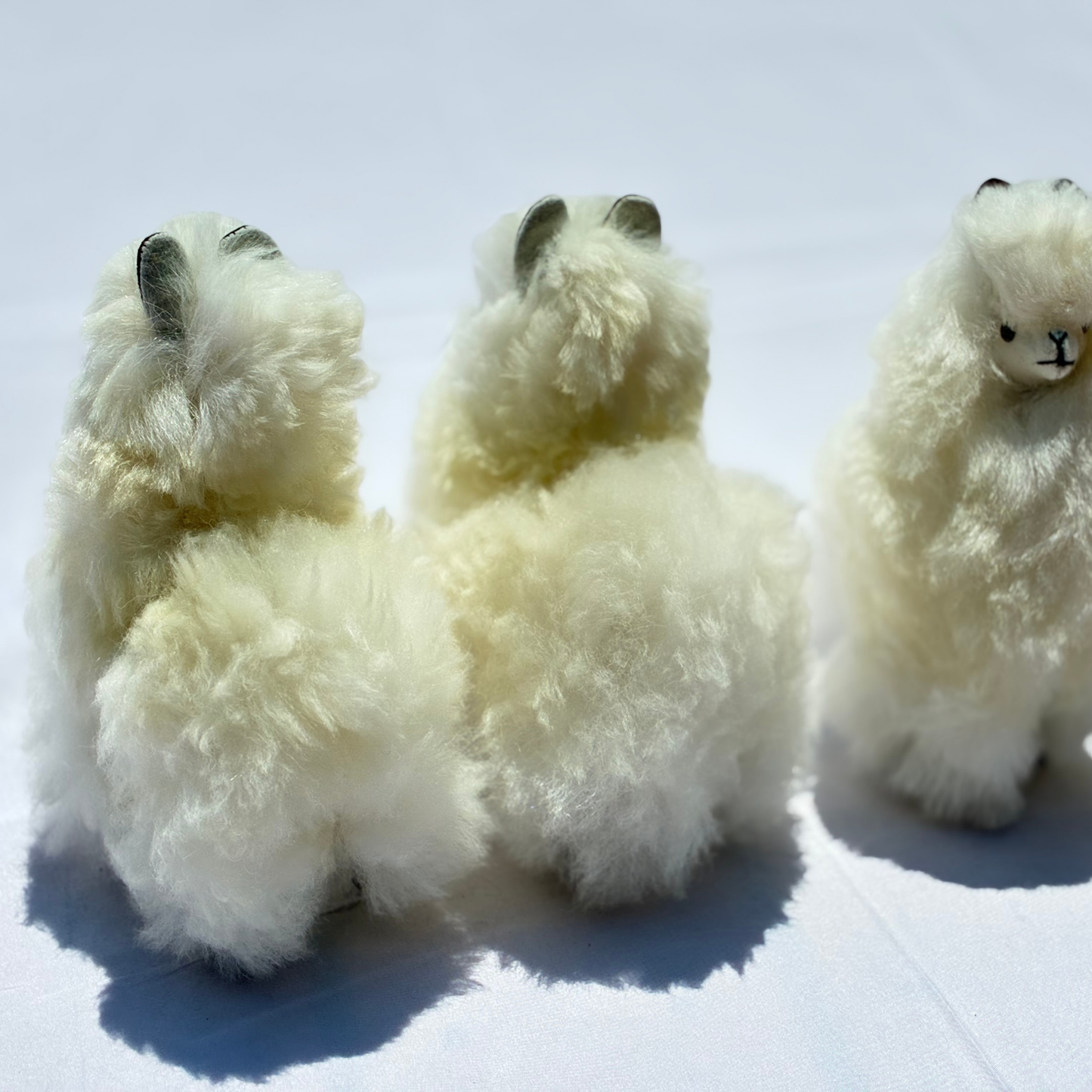 Alpaca Fiber Alpaca (Medium)